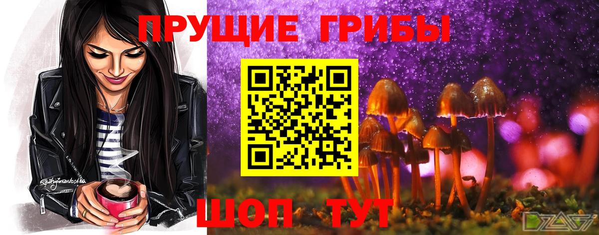 Галлюциногенные грибы прущие грибы  Вход с VPN  Гусиноозёрск 